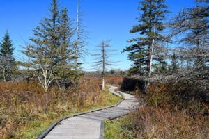 Appalachian Expeditions Hiking in Canaan Valley