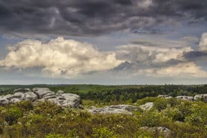 Appalachian Expeditions is leading guided hikes in Dolly Sods Wilderness Area